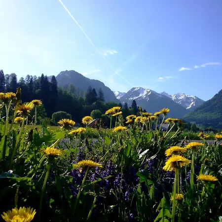 Lägenhet Oberstdorfer Bergwelt 218 *